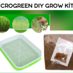 Max Microgreen DIY Grow kit